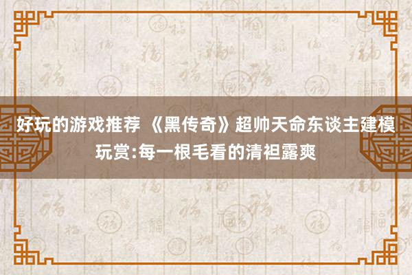 好玩的游戏推荐 《黑传奇》超帅天命东谈主建模玩赏:每一根毛看的清袒露爽