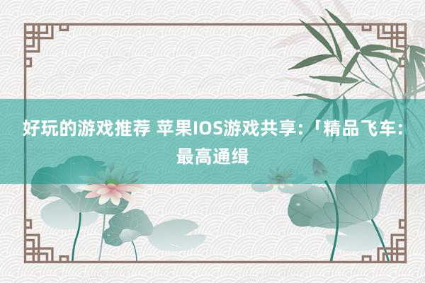 好玩的游戏推荐 苹果IOS游戏共享:「精品飞车:最高通缉