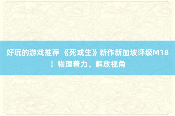 好玩的游戏推荐 《死或生》新作新加坡评级M18！物理着力、解放视角